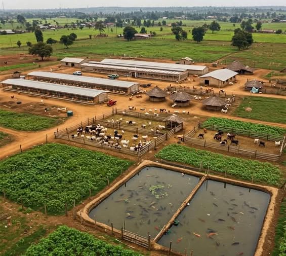 Aerial view of a well-planned farm layout with livestock pens, crop fields, fish ponds, and farm buildings.