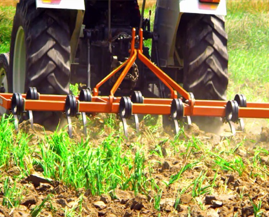 Fieldking cultivator working between crop rows for effective weed control and soil cultivation