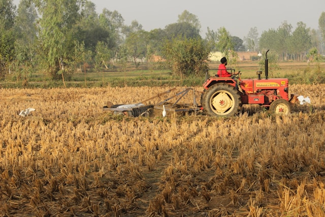 Post harvest machinery