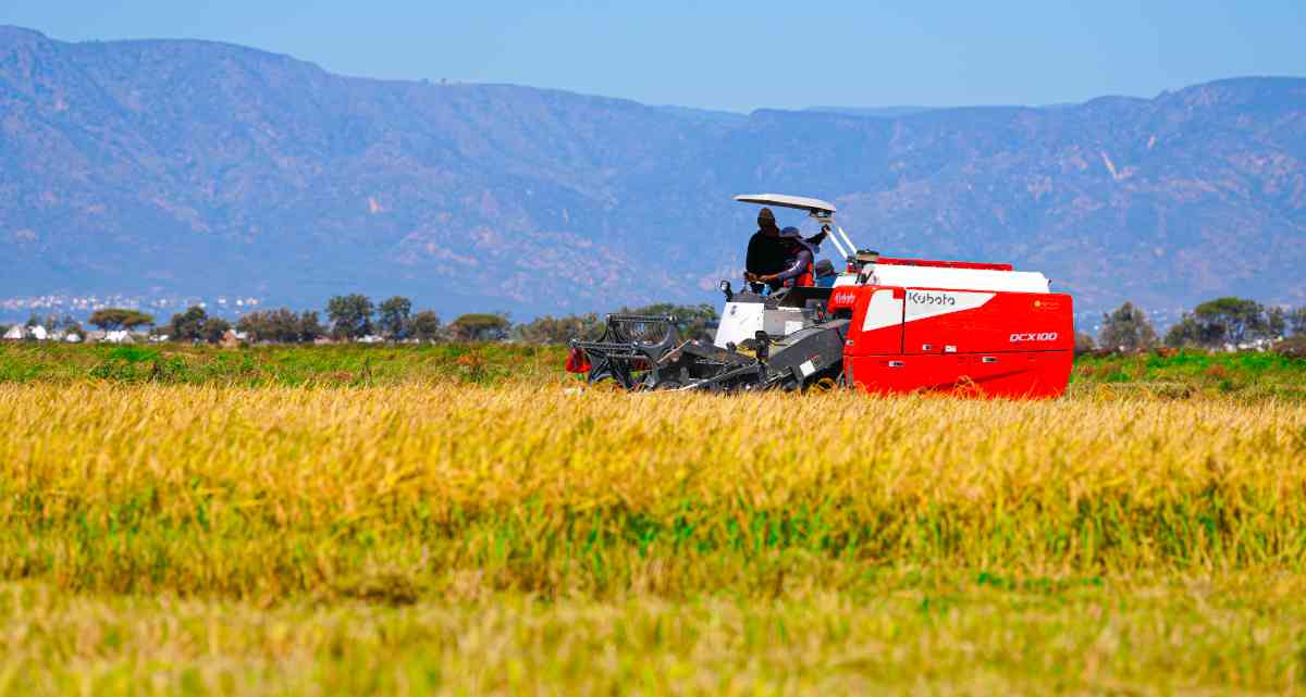 Modern harvesting machines
