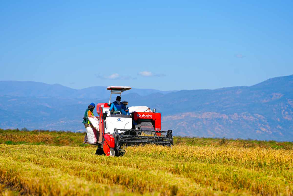 Modern harvesting and threshing equipment