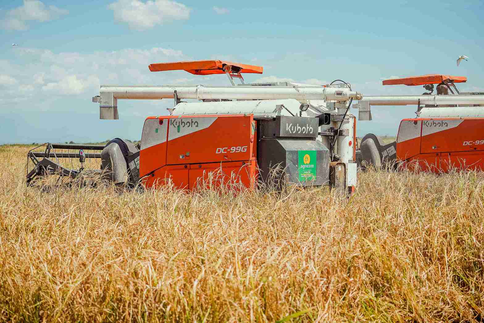 Two orange and white Kubota combine harvesters in a golden field, with an Agricom logo on the machine in front