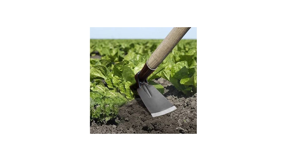 hoe for digging,weeding and soil preparation