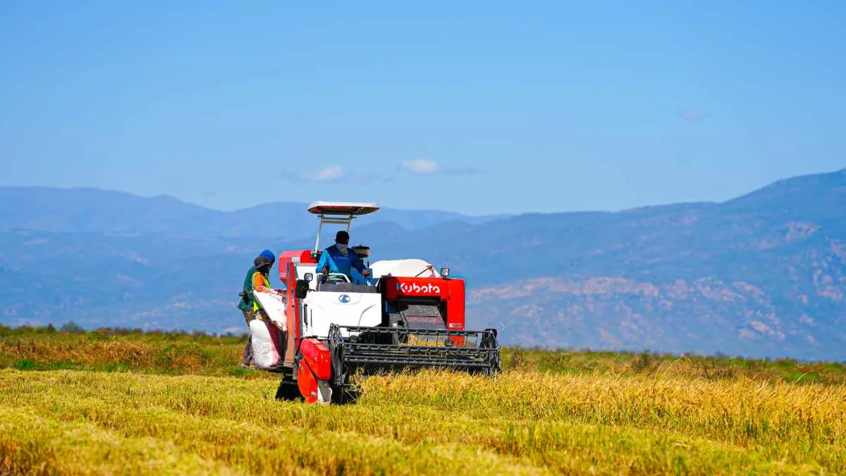 Modern harvesting and threshing equipment