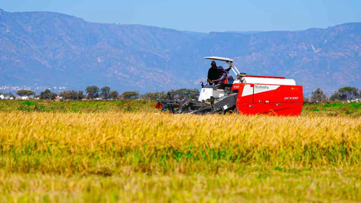 kubota harvester