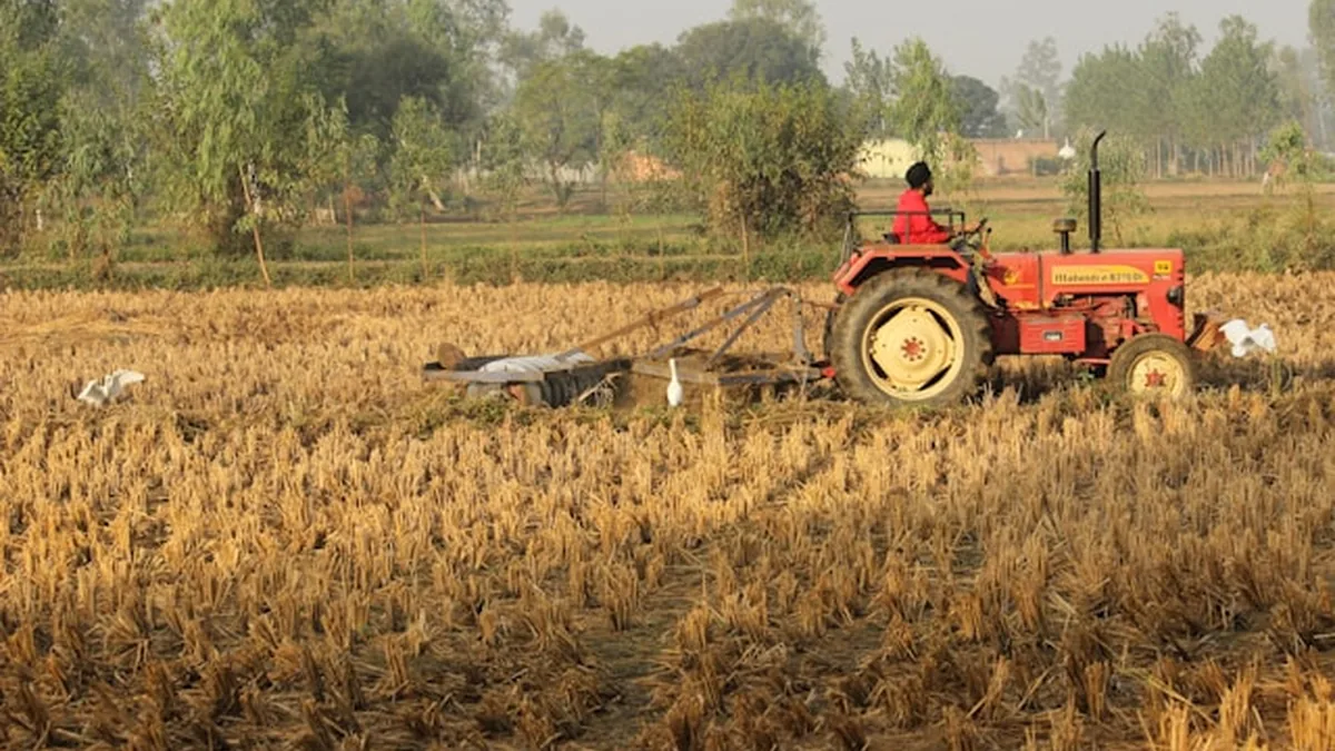 Post harvest machinery